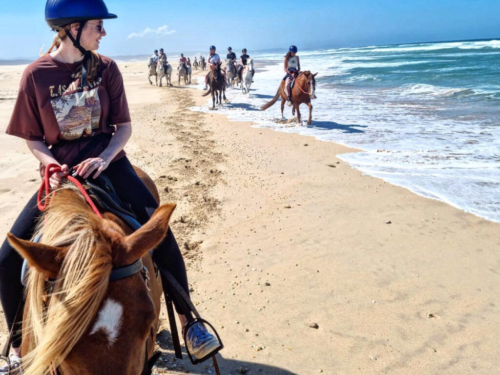Featherfoot Horse Trails